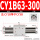 CY1B63-300