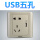 远景金棕五孔带USB