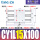 CDY1L15100