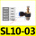 SL 10-03