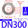 12寸DN300(304不锈钢)