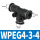 WPEG4-3-4