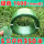 1608-绿色塑钢带-5公斤 约350米