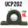 UCP202