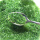 绿竹米1斤+紫薯米1斤+黄金米1斤
