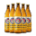 柏龙大麦啤酒 500mL 5瓶