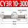 CY3R 10-300