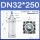 DN32*250