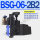 BSG062B2D24(A240)N14