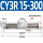 CY3R 15-300