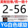 杏色 YG白螺旋2-56