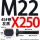 M22X250【45#钢T型】