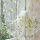毛巾绣黄色雏菊纱-0.6米宽