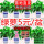 120蓝色加仑吸水绿萝+喷壶+肥2包