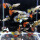 杂袍孔雀鱼80备20共100条