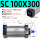 TSC100X300