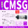 CMSG（3件）