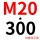 M20*300 (+螺母平垫)
