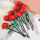 红玫瑰花9只装花语长长久久