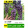 八重龙紫藤【当年成景】粗0.5cm