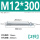 M12*300(2只)