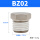 BZ02