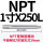 NPT1寸X250MM加长