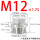 M12*1.75