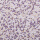 木槿紫 E2
