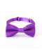 紫色儿童领结