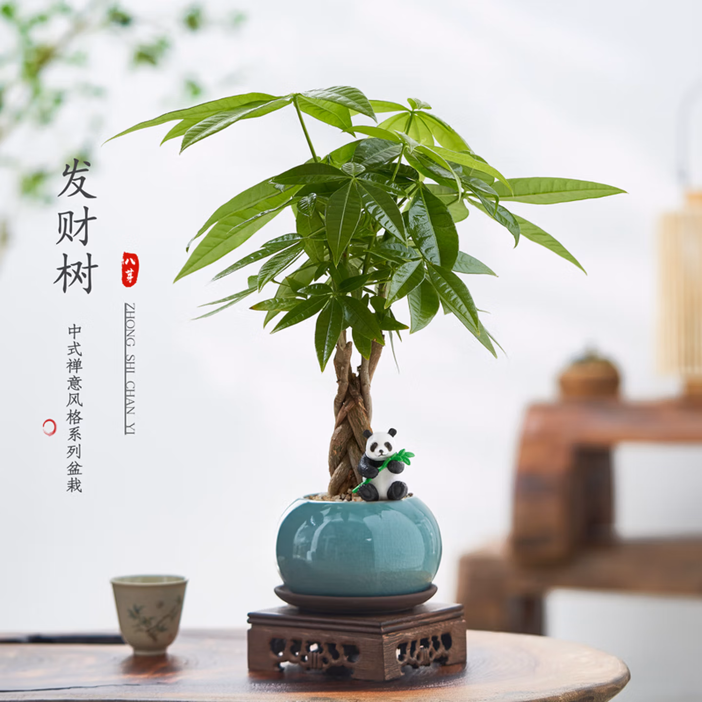八芽 盆栽五福发财树 含圆肚盆+密胺托 双重优惠折后￥10.32包邮