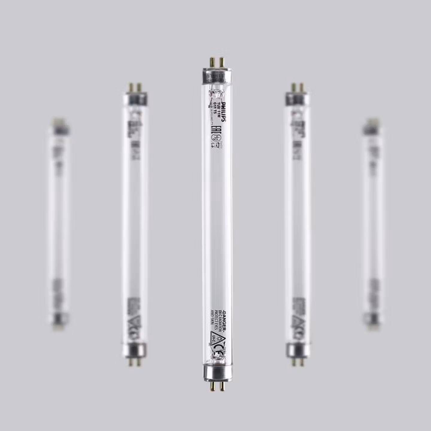 飞利浦	紫外线灯管	T5-8W	1	根