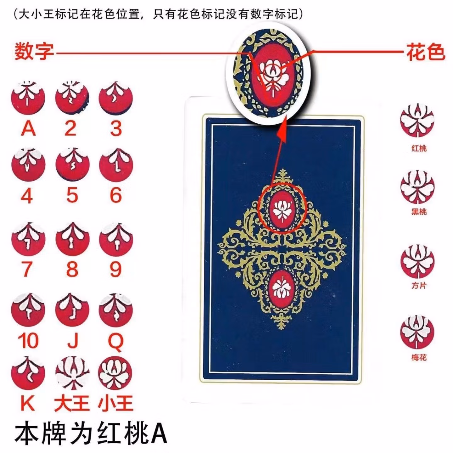 姚记姚记2018魔术扑克金花地主辨牌背面认牌近景变魔术道具表演原厂牌 姚记021