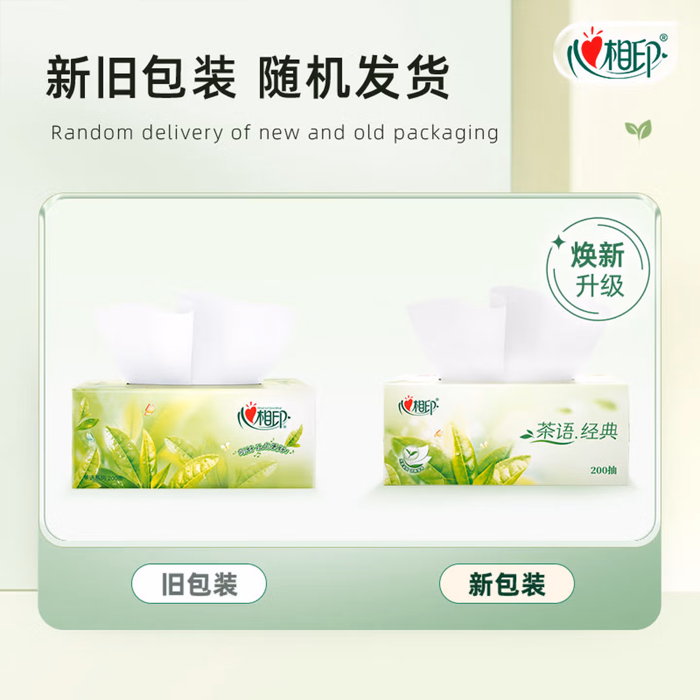 心相印抽纸/盒抽 茶语经典 2层200抽*12盒 淡茶香加厚 纸巾 整箱 H20