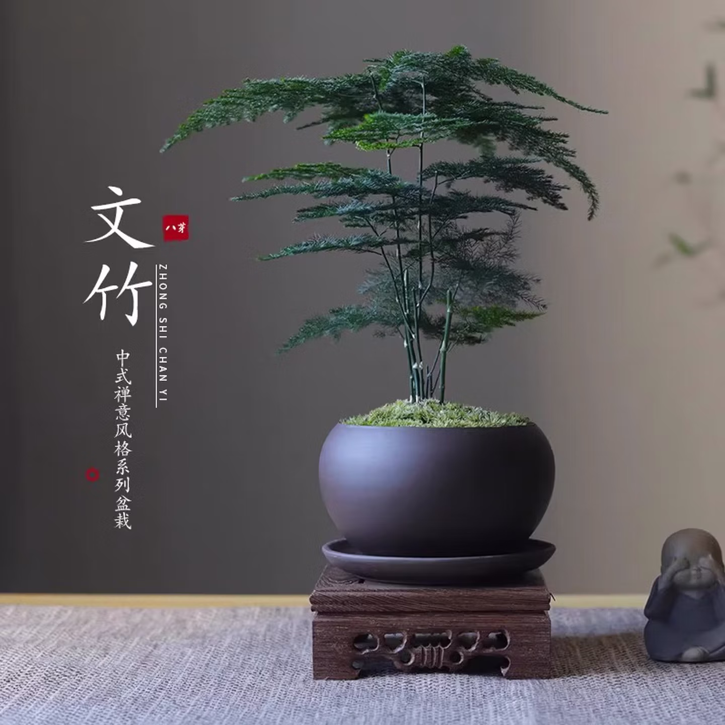 八芽 禅意盆文竹 含紫砂托盘 带盆栽好 双重优惠折后￥7.48包邮