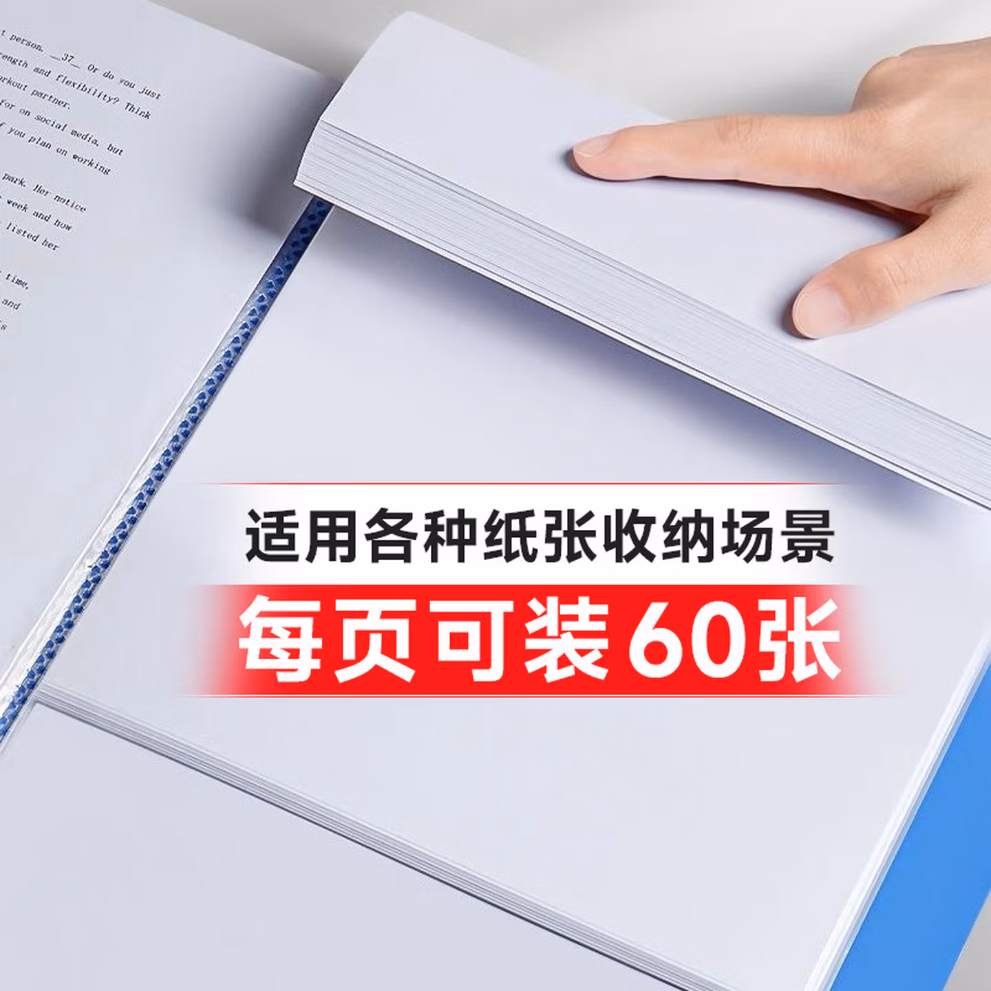 天章 （TANGO）A4/60页资料册/插袋文件册/活页文件夹/文件收纳袋/学习