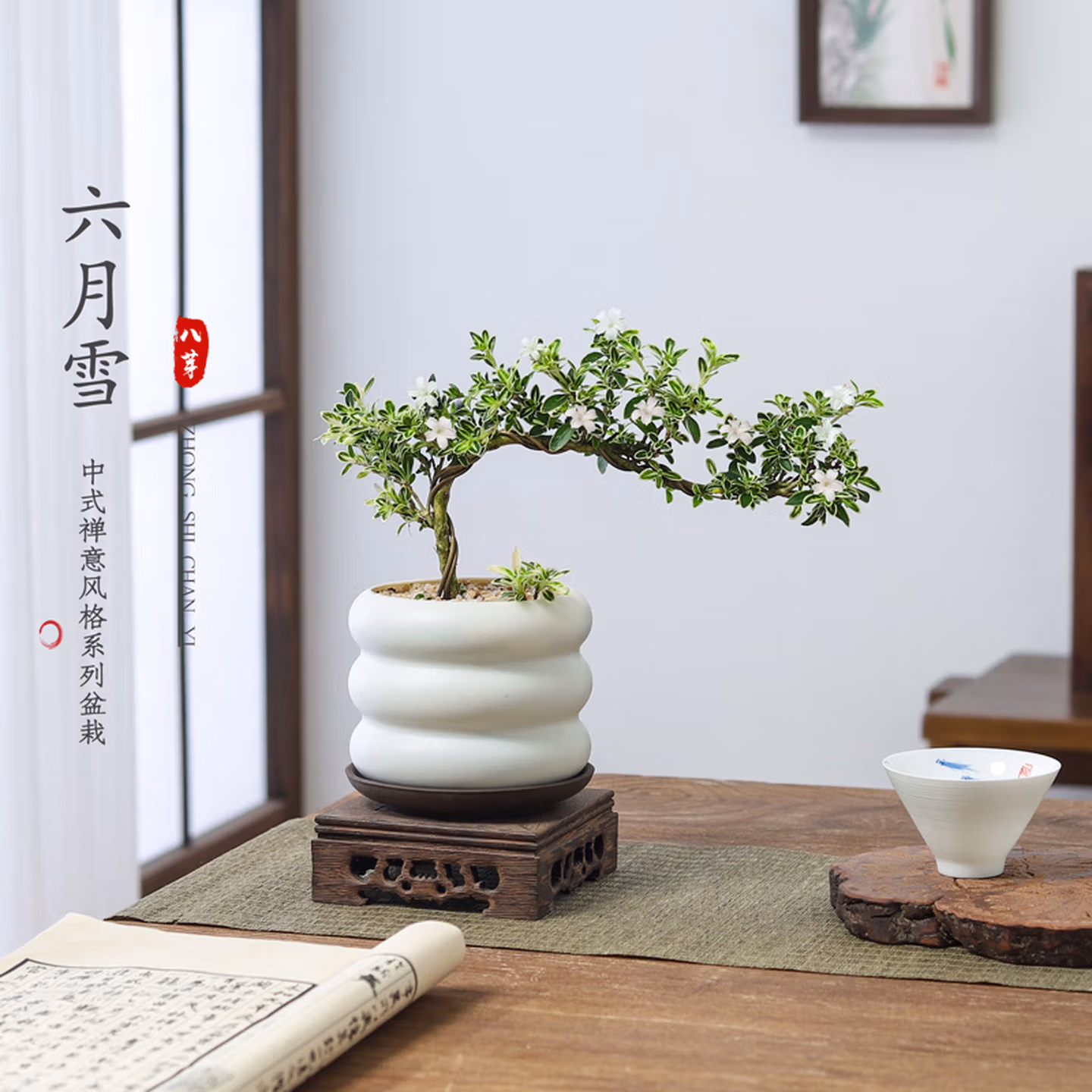 八芽 六月雪中式禅意盆景+PVC小甜甜圈盆-密胺托盘 双重优惠折后￥5.84包邮