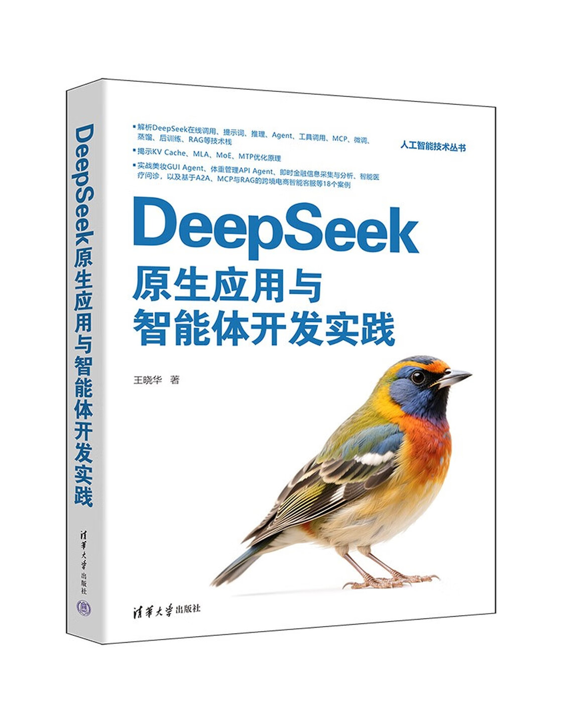 《DeepSeek原生应用与智能体开发实践》