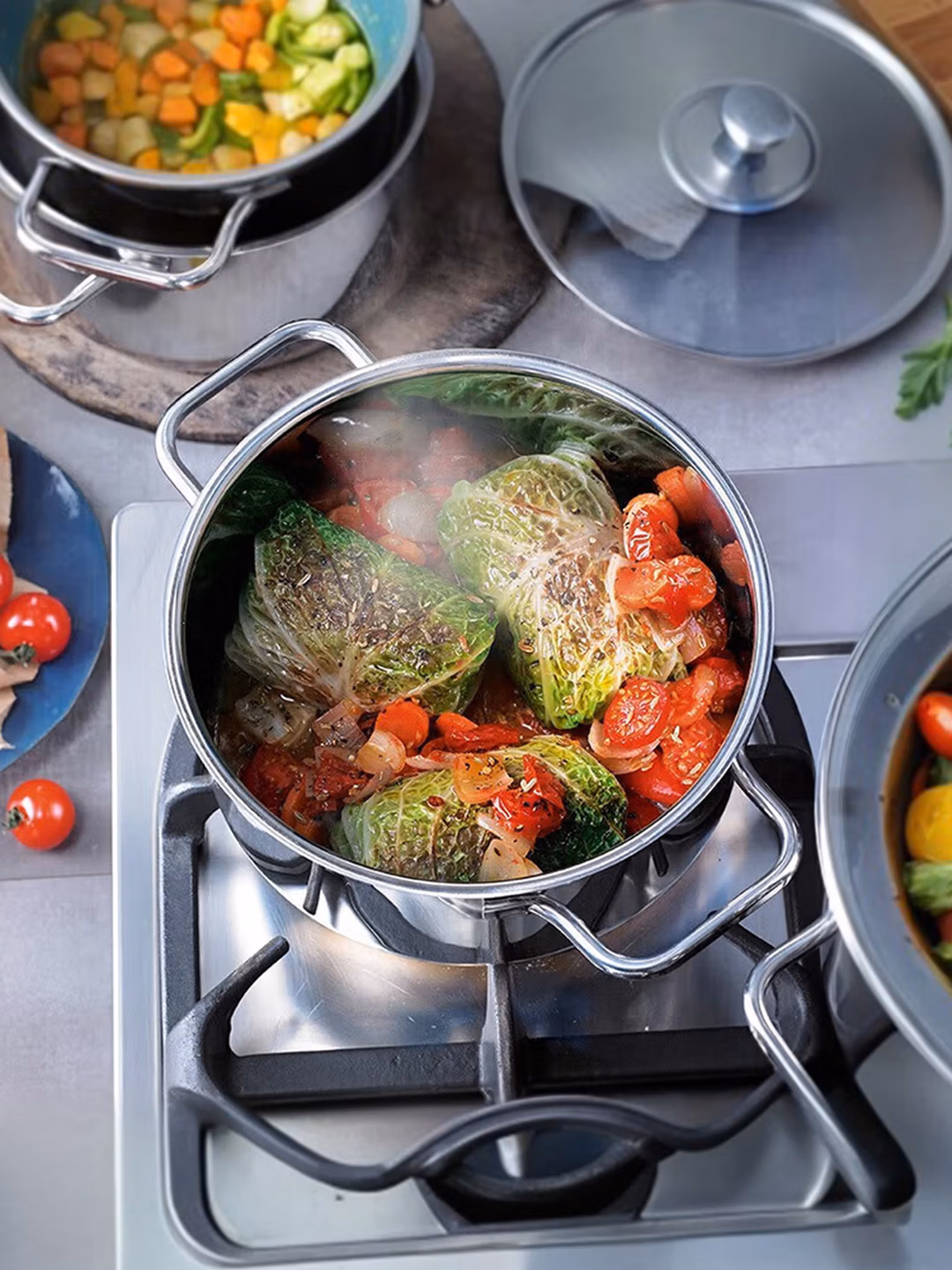 WMF 福腾宝 ASTORIA系列 不锈钢蒸煮汤锅 24cm（带盖）国补折后￥115.6