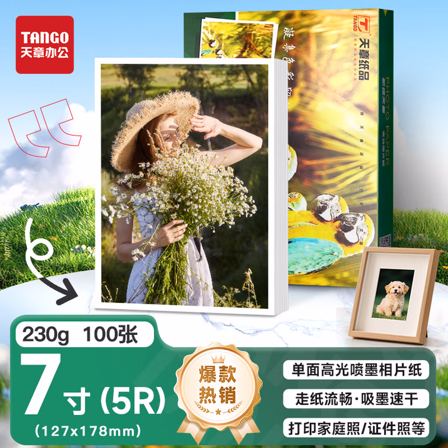 天章 （TANGO）新绿天章 5R/7寸相纸 230g 高光相片纸 照相纸 7寸喷墨照片打印纸 100张/包