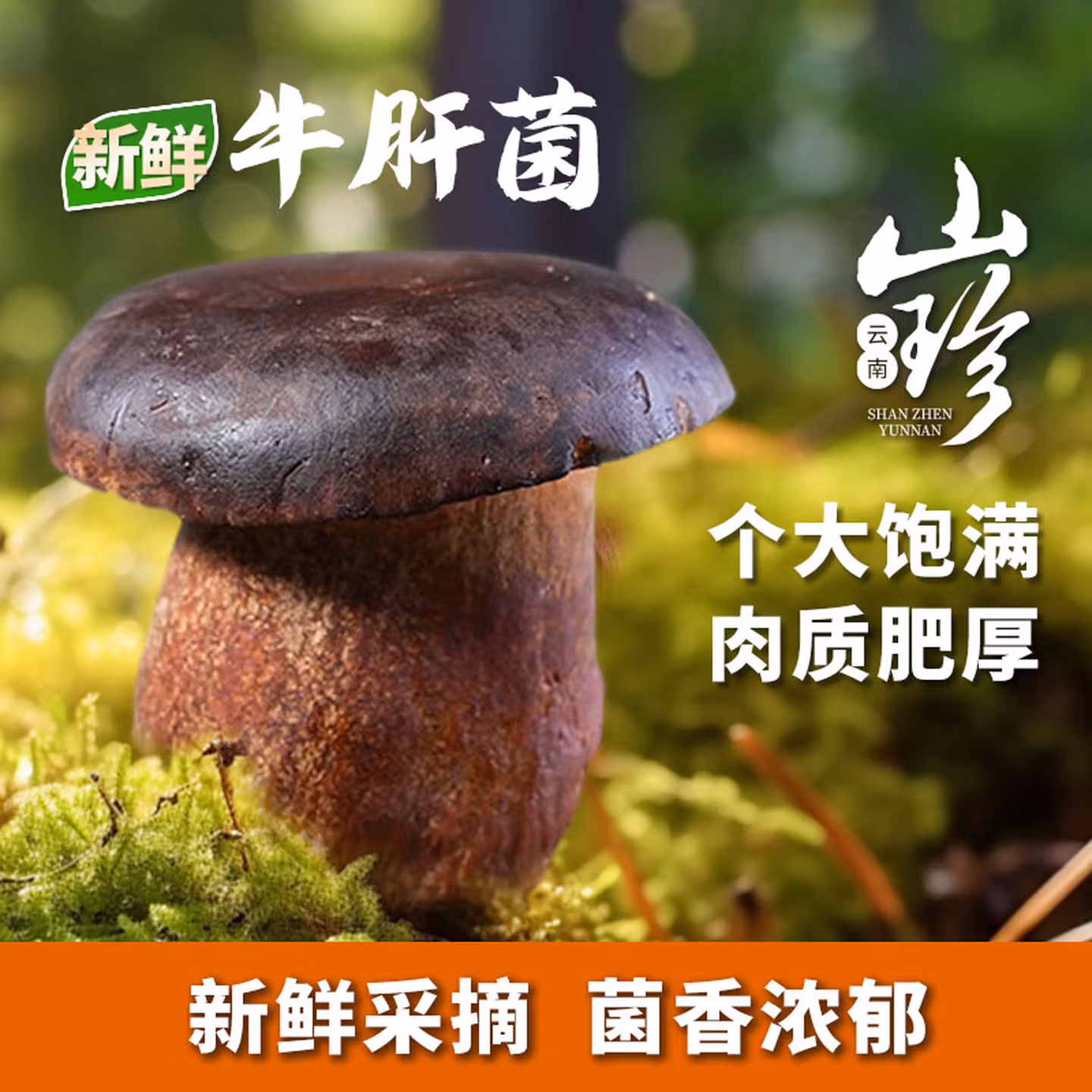京鲜生 云南特产 新鲜牛肝菌 净重1斤 京东优惠券折后￥34.9包邮