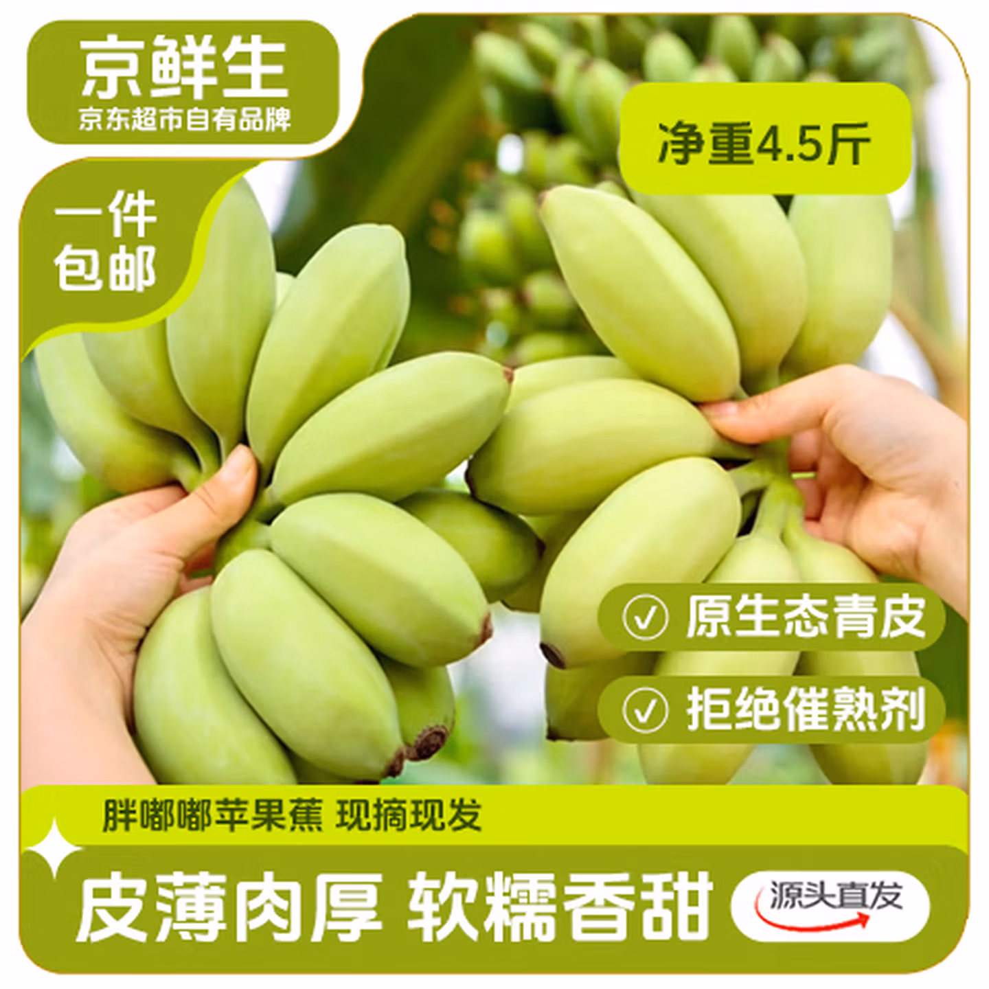 京鲜生 广东苹果蕉香蕉 净重4.5斤 ￥19.9包邮