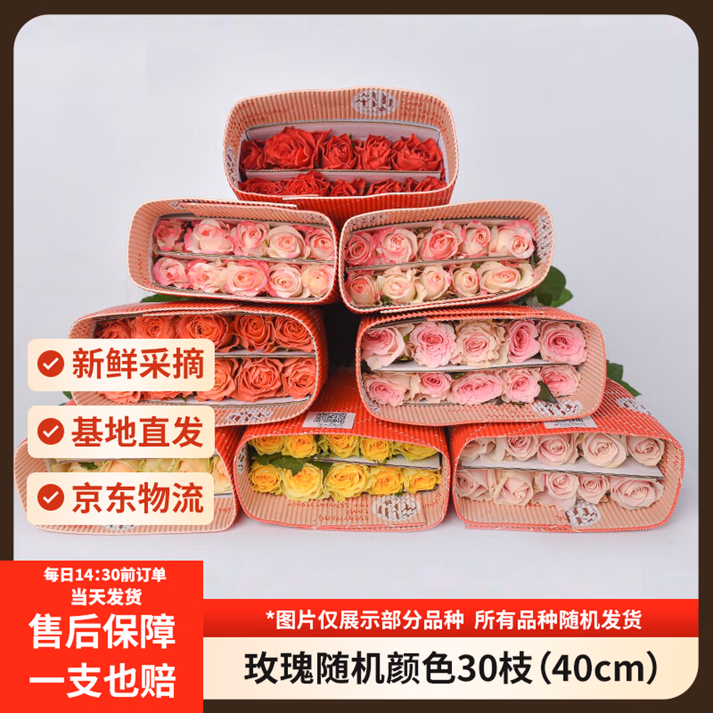 京东鲜花 40cm鲜切随机色系玫瑰30枝 2~3种配色 京东优惠券折后￥18.9包邮