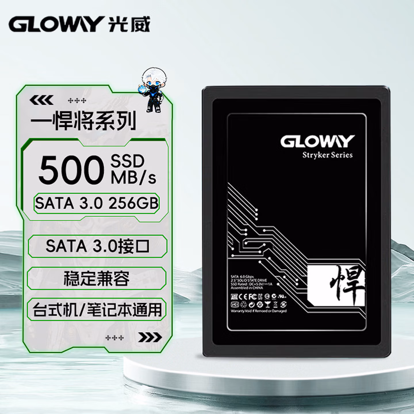 光威（Gloway）256GB SSD固态硬盘 SATA3.0 500MB/s 悍将系列