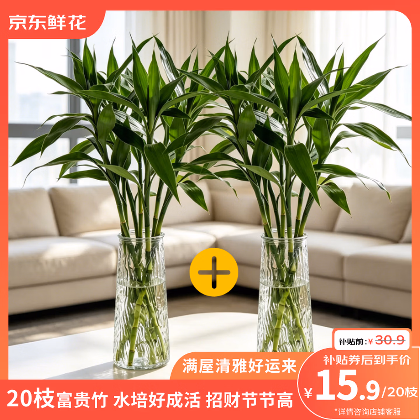 京东鲜花 富贵竹 20枝 京东优惠券折后¥15.9包邮
