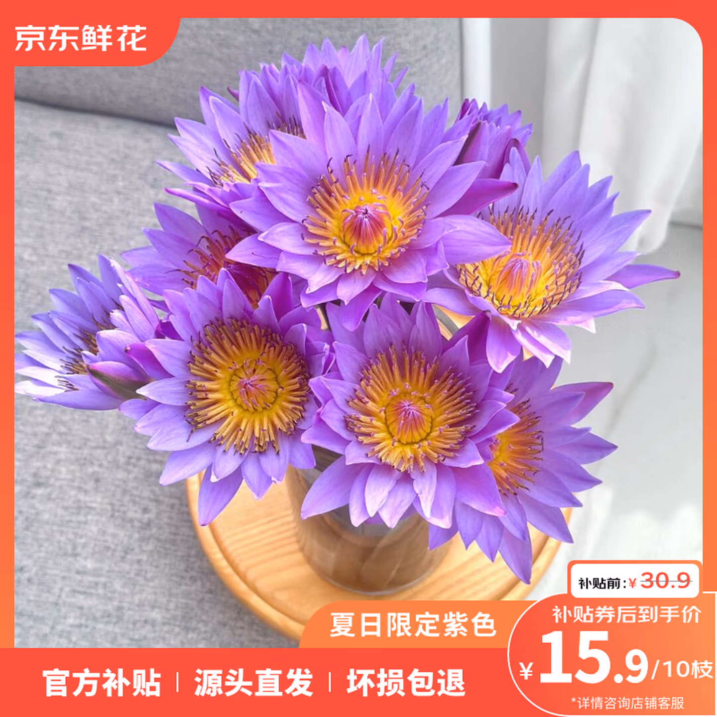 京东鲜花 源头直发 紫色睡莲 10枝 京东优惠券折后￥15.9包邮