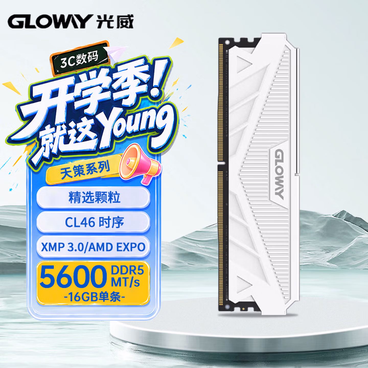光威（Gloway）16GB DDR5 5600 台式机内存条 天策 马甲条 精选颗粒 CL46 皓月白