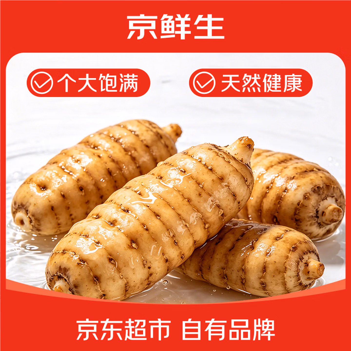 国家地理标志产品 京鲜生 云南昭通小草坝新鲜天麻 净重1斤  大果约4~5个 京东优惠券折后￥36.5包邮