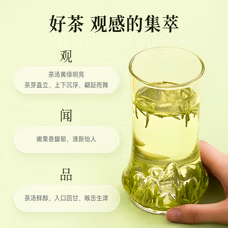 竹叶青绿茶 峨眉山2026新茶 特级品味100g 袋装茶叶自己喝14004