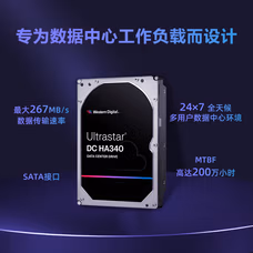 西部数据 12TB 企业级机械硬盘DC HA340-块